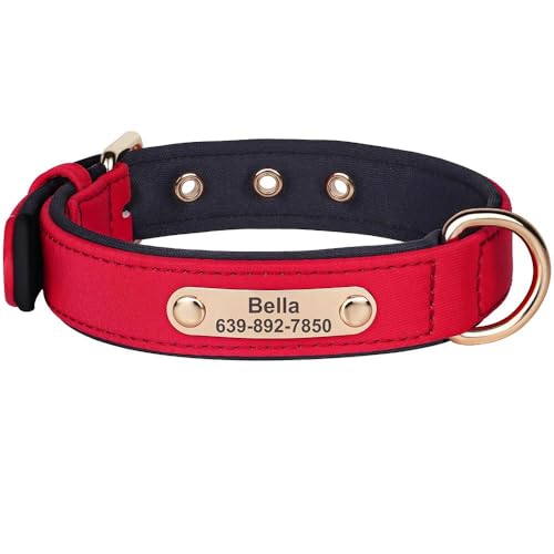 Wasserdichtes Nylon-Halsband für Welpen, personalisierbar, individuelle Gravur, Namensschild, Halsbänder für Chihuahua, Mops, Französische Bulldogge, Rot, Größe S Wasserdichtes Nylon-Halsband für Welpen, personalisierbar, individuelle Gravur, Namensschild, Halsbänder für Chihuahua, Mops, Französische Bulldogge, Rot, Größe S von JFERDX