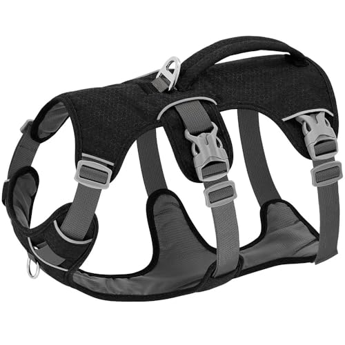 Weich Bequem Einstellbares Nylonhund -Training Wanderkabelbaum Mit Griff Im Freien Reflektierende Hundeturte Für Labrador French Bulldogs,Schwarz,M Weich Bequem Einstellbares Nylonhund -Training Wanderkabelbaum Mit Griff Im Freien Reflektierende Hundeturte Für Labrador French Bulldogs,Schwarz,M von JFERDX
