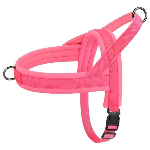 Weiches Und Bequemes Nylon-Hundegeschirr, Weste, Verstellbares Haustiergeschirr, Für Den Außenbereich, Spannungsfrei, Französische Bulldogge, Chihuahua, Camping, Jagd, Trainingsgeschirr,A,XS Weiches Und Bequemes Nylon-Hundegeschirr, Weste, Verstellbares Haustiergeschirr, Für Den Außenbereich, Spannungsfrei, Französische Bulldogge, Chihuahua, Camping, Jagd, Trainingsgeschirr,A,XS von JFERDX