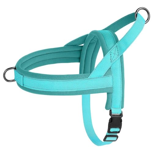 Weiches Und Bequemes Nylon-Hundegeschirr, Weste, Verstellbares Haustiergeschirr, Für Den Außenbereich, Spannungsfrei, Französische Bulldogge, Chihuahua, Camping, Jagd, Trainingsgeschirr,Blau,XS Weiches Und Bequemes Nylon-Hundegeschirr, Weste, Verstellbares Haustiergeschirr, Für Den Außenbereich, Spannungsfrei, Französische Bulldogge, Chihuahua, Camping, Jagd, Trainingsgeschirr,Blau,XS von JFERDX