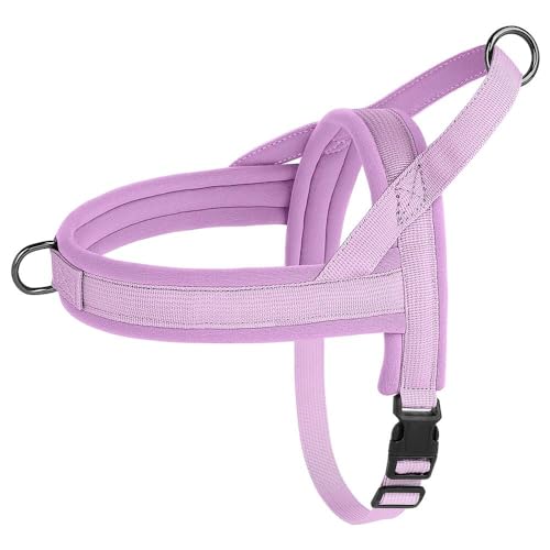 Weiches Und Bequemes Nylon-Hundegeschirr, Weste, Verstellbares Haustiergeschirr, Für Den Außenbereich, Spannungsfrei, Französische Bulldogge, Chihuahua, Camping, Jagd, Trainingsgeschirr,LILA,M Weiches Und Bequemes Nylon-Hundegeschirr, Weste, Verstellbares Haustiergeschirr, Für Den Außenbereich, Spannungsfrei, Französische Bulldogge, Chihuahua, Camping, Jagd, Trainingsgeschirr,LILA,M von JFERDX
