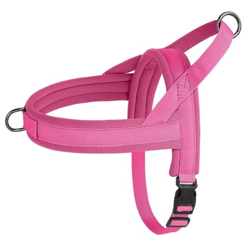 Weiches Und Bequemes Nylon-Hundegeschirr, Weste, Verstellbares Haustiergeschirr, Für Den Außenbereich, Spannungsfrei, Französische Bulldogge, Chihuahua, Camping, Jagd, Trainingsgeschirr,Rosenrot, Weiches Und Bequemes Nylon-Hundegeschirr, Weste, Verstellbares Haustiergeschirr, Für Den Außenbereich, Spannungsfrei, Französische Bulldogge, Chihuahua, Camping, Jagd, Trainingsgeschirr,Rosenrot, von JFERDX