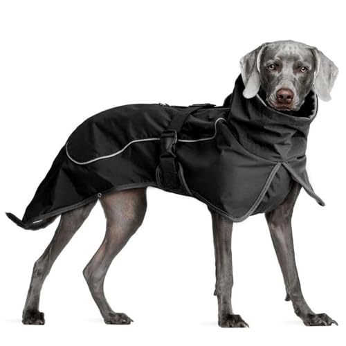 Winterwarme Hundejacke, Kleidung Für Den Außenbereich, Wasserdicht, Winddicht, Reflektierend, Hundejacke, Warme Haustierjacke, Mittelgroße Und Große Hunde-Labrador-Schäferhund-Jacke,Schwarz, Winterwarme Hundejacke, Kleidung Für Den Außenbereich, Wasserdicht, Winddicht, Reflektierend, Hundejacke, Warme Haustierjacke, Mittelgroße Und Große Hunde-Labrador-Schäferhund-Jacke,Schwarz, von JFERDX