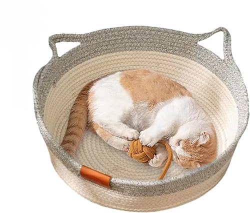 Cutypet Katzenkorb, Virela Weidengeflecht-Katzenbett, Haustiernest aus Baumwollseil, handgewebtes, atmungsaktives, langlebiges Katzenschlafhaus aus natürlichem Rattan mit Spielzeugschwanz,M,Grey Cutypet Katzenkorb, Virela Weidengeflecht-Katzenbett, Haustiernest aus Baumwollseil, handgewebtes, atmungsaktives, langlebiges Katzenschlafhaus aus natürlichem Rattan mit Spielzeugschwanz,M,Grey von JHDZ