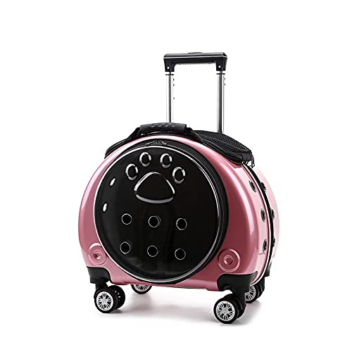 Haustier Trolley Koffer Tragbare Transparent Katzentasche für Reisen Multifunktions Haustier Rucksack Air Bubble Box Ideal Pet Flight Case für Ausflüge von JHLP