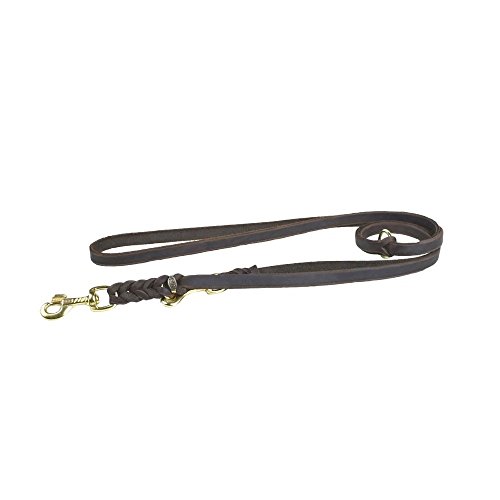 JHS Fettleder geflochten - Hunde Halsband Führleine Schauleine Dressurhalsung (240 cm / 15 mm, Führleine - 2 Fach verstellbar) von JHS