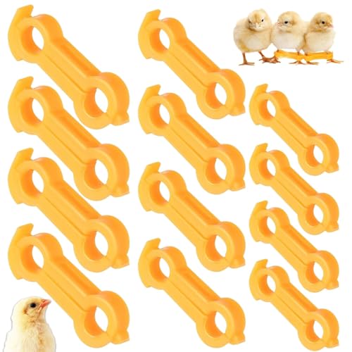 12 Stück Baby Küken Beinspange, Küken Beine korrektur, Spreizbein Hüpfer Klammer, Geflügel Beinbänder, Hühnerbein Stützband Ausrichtungsklammer Für Neugeborene Vögel Küken Zubehör（4mm, 5mm, 6mm） von JHXhhthongtong