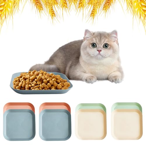 Katzennäpfe mit Schnurrhaar, 13,5 cm, flach, kleine Nass-Futternäpfe für Kätzchen, kurzbeinige Katzen, 8 Stück (Blau, Grün, Rosa, Beige) von JIABEIUS