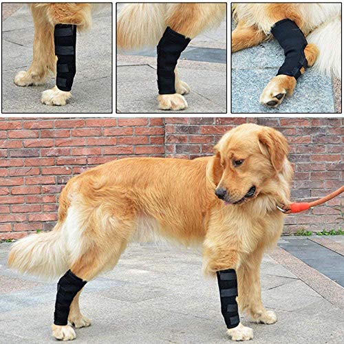 JIAHG 1 Paar Hund Sprunggelenk Schutz Bandage Haustier Hunde Handgelenk Bandage Kniebandage Gelenkbandage Stützbandage für Schützt Wunden und Hilft bei Gelenkentzündung und Arthritis von JIAHG