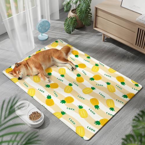 JIALING Haustier Kühlmatte mit Ungiftiges Gel, Doppelseitig waschbares Hundekühlkissen, Selbstkühlend Kratzfest, für Katzen und Hunde (B,45 * 60cm) von JIALING