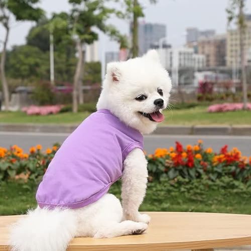 JIALIU Sommer-Haustierkleidung für kleine, mittelgroße Hunde, festes Baumwoll-T-Shirt, Hundezubehör, Heimtierbedarf, Katzenweste, Hemden, Haustiere, Outfits, XS-3XL von JIALIU