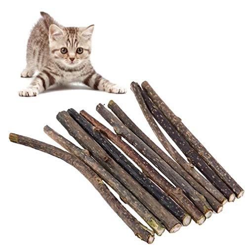 JIANJU 20 Packungen natürliche Matatabi-Stäbchen für Katzen, Katzenspielzeug, natürliche Katzenzähne, Nippenreinigung, Zähne, Kauen, Katzenminze, Spielzeug für Innenbereich, Reinigung von Kätzchen von JIANJU
