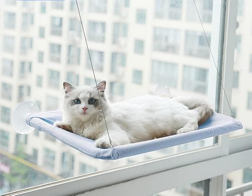 JIANJU Katzen-Hängematte, niedliches Katzenfensterbett, 20 kg, Katzenfenster, platzsparend, für große Katzen, 33 x 20 x 5 cm, Blau von JIANJU