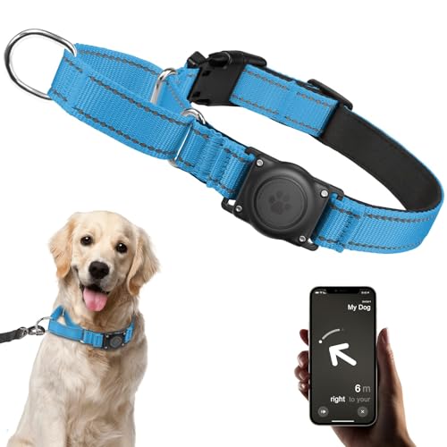 JIARUI Reflektierend Halsband Hund, Martingale Hundehalsband, Airtag Hundehalsband mit Air Tag Halter, Komfortabel Gepolstert Halsband für Kleine Mittel Große Hunde (Blau, M) von JIARUI