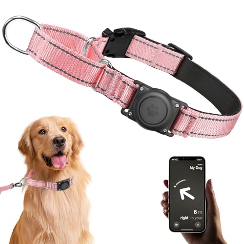JIARUI Reflektierend Halsband Hund, Martingale Hundehalsband, Airtag Hundehalsband mit Air Tag Halter, Komfortabel Gepolstert Halsband für Kleine Mittel Große Hunde (Rosa, M) von JIARUI