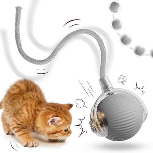 JIASHA Interaktives Katzenspielzeug Katzenbal,Katzenspielzeug Elektrisch Katzenbal,Katzenball Elektrisch,Interaktives Katzenball Spielzeug,mit LED Licht,mit Seil,USB Wiederaufladbarer (B) von JIASHA