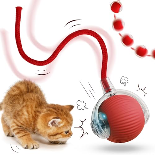 JIASHA Interaktives Katzenspielzeug Katzenbal,Katzenspielzeug Elektrisch Katzenbal,Katzenball Elektrisch,Interaktives Katzenball Spielzeug,mit LED Licht,mit Seil,USB Wiederaufladbarer JIASHA Interaktives Katzenspielzeug Katzenbal,Katzenspielzeug Elektrisch Katzenbal,Katzenball Elektrisch,Interaktives Katzenball Spielzeug,mit LED Licht,mit Seil,USB Wiederaufladbarer von JIASHA