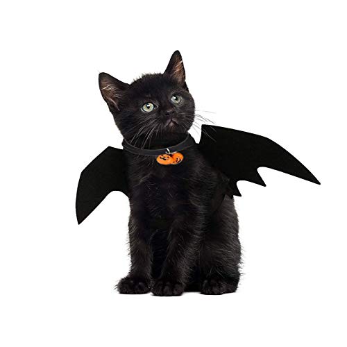 JIASHA Katze Bat Wings Kostüm, Halloween Katze Kleidung, Pet Hund Bat Wings Katze Fledermaus Kostüm，Katze Fledermaus Kostüm, Haustier Fledermausflügel mit 2Pcs Pumpkin Bell von JIASHA