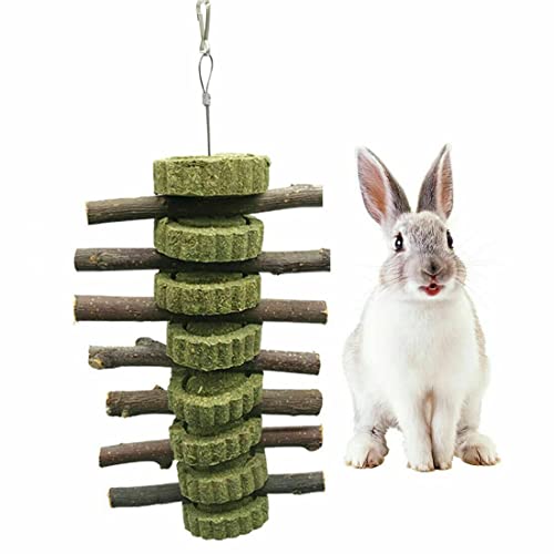 JIAWEIIY Haustier Zähne Schleifen Spielzeug Holz Baum Hängende Hamster Kleintier Kekse für Kaninchen (B) von JIAWEIIY