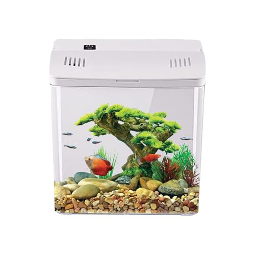 JIEBWCHA Desktop Aquarium | Leises Aquarium Mit Filter | Haustierzubehör Für Schreibtisch Quallen Schildkröten | Büro Wohnzimmer Schreibtisch von JIEBWCHA