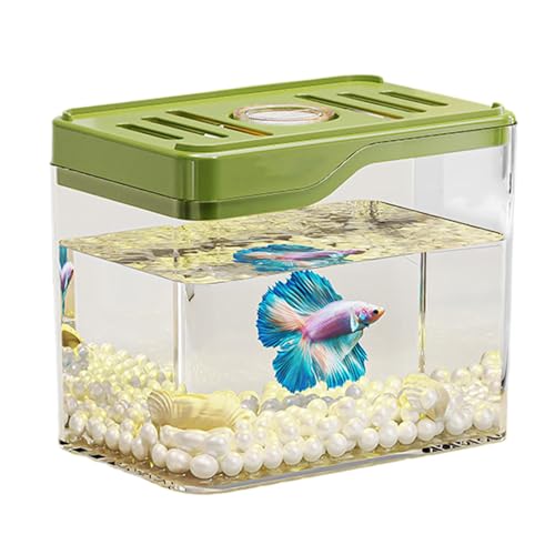 JIEBWCHA Desktop -Fischtank, Desktop Fischschale,Leichter Stabiler Fischtank - Bunte LED Lights Bowl Desktop Room Decor für Häuser oder Büros von JIEBWCHA