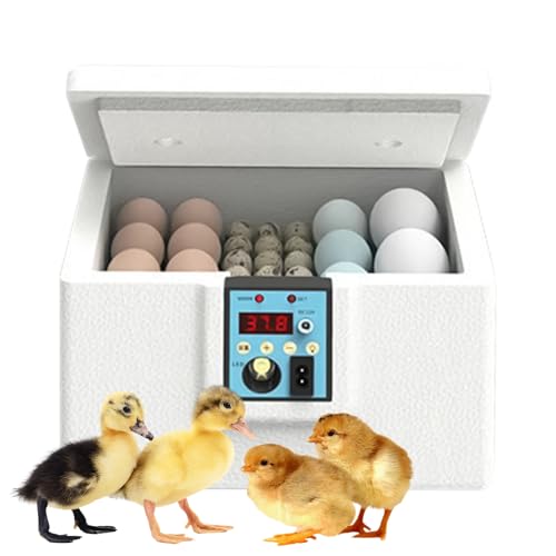 JIEBWCHA Eierbrutgerät,Wachtel Brutbox Mit Schierlampe - Temperaturgesteuerte Brutbox Für Die Heimzucht Von Hühnern Enten Und Wachteln von JIEBWCHA
