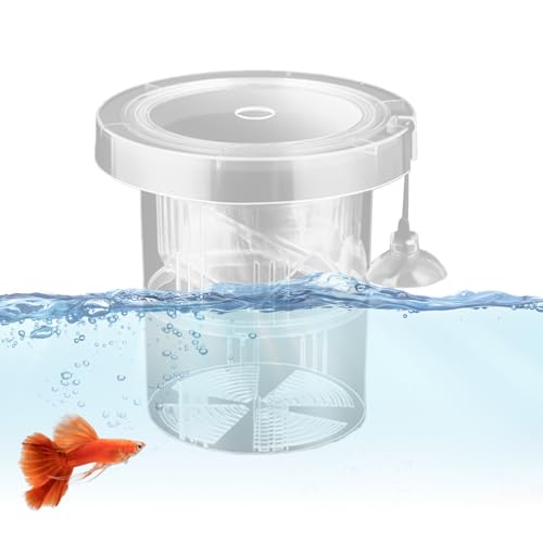 JIEBWCHA Fischzüchterbox für Aquarium, Züchterbox für Fischtank - Schwimmende Aquariumisolation Box,Wiederverwendbares Mesh-Sided-Einstellungsbeschaffungsfall für Salzwasseraquatik-Laichen JIEBWCHA Fischzüchterbox für Aquarium, Züchterbox für Fischtank - Schwimmende Aquariumisolation Box,Wiederverwendbares Mesh-Sided-Einstellungsbeschaffungsfall für Salzwasseraquatik-Laichen von JIEBWCHA
