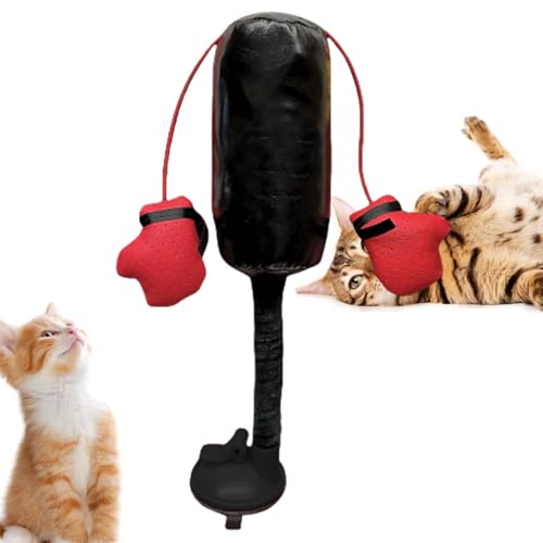 JIEBWCHA Interaktives Katzenspielzeug - Boxsack Für Katzen, Kätzchenspielzeug Mit Handschuhen, Katzen Boxsack Spielzeug, Kätzchen Boxsack Spielzeug, Haustierübungsspielzeug JIEBWCHA Interaktives Katzenspielzeug - Boxsack Für Katzen, Kätzchenspielzeug Mit Handschuhen, Katzen Boxsack Spielzeug, Kätzchen Boxsack Spielzeug, Haustierübungsspielzeug von JIEBWCHA