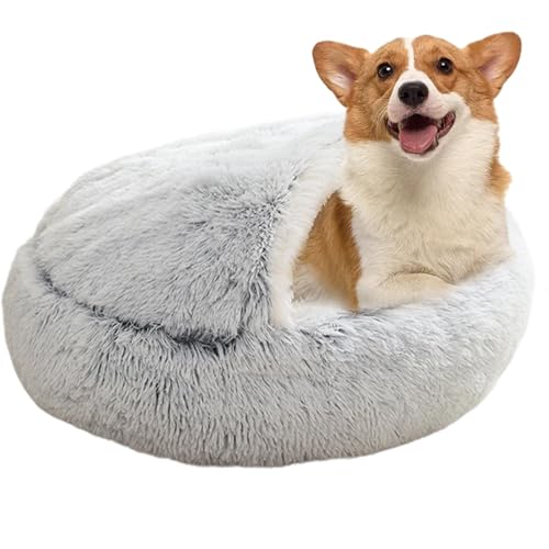 JIEBWCHA Katzenbett mit Kapuze, weiches Plüsch, Muschelform, Katzennest, warmes, weiches Plüsch-Katzenbett für Innenkatzen, warme Katzenbetten mit Kapuze für Zuhause JIEBWCHA Katzenbett mit Kapuze, weiches Plüsch, Muschelform, Katzennest, warmes, weiches Plüsch-Katzenbett für Innenkatzen, warme Katzenbetten mit Kapuze für Zuhause von JIEBWCHA
