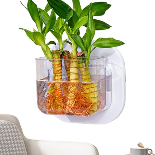 JIEBWCHA Wandmontierter Fischschale, wandmontierter Blumentopf | kompakte Aquarium-Fischschalen für Wohnzimmer, Schlafzimmer, Küche, Wohnung, Schlafsaal JIEBWCHA Wandmontierter Fischschale, wandmontierter Blumentopf | kompakte Aquarium-Fischschalen für Wohnzimmer, Schlafzimmer, Küche, Wohnung, Schlafsaal von JIEBWCHA