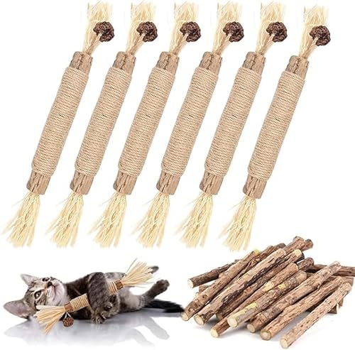 JIIENO 21 Stück katzenminze Sticks, 6 katzenminze Spielzeug 15 matatabi Sticks Katzen kaustangen, Katzen kaustangen Sticks für Katzen Zahnpflege Natürlich Sicher von JIIENO