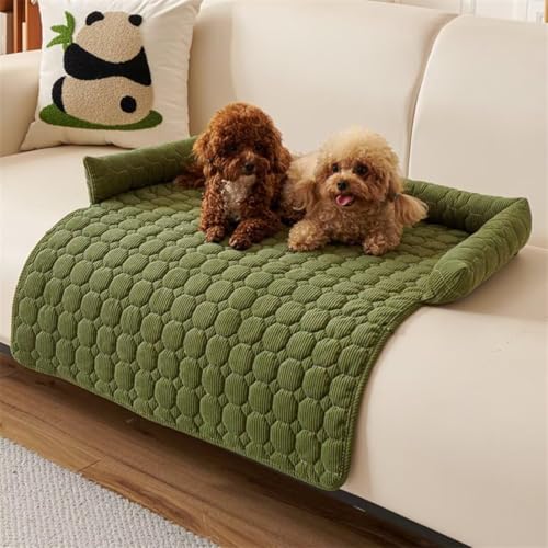 JIIENO Hundebett Waschbar - Hundedecke rutschfest, Sofaschutz für Haustiere, Flauschige Hundematte für Sofa Fußböden und Autositze,75x75cm,Grün JIIENO Hundebett Waschbar - Hundedecke rutschfest, Sofaschutz für Haustiere, Flauschige Hundematte für Sofa Fußböden und Autositze,75x75cm,Grün von JIIENO
