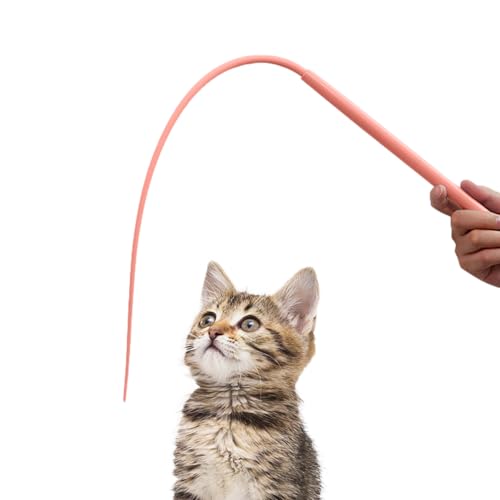 JINGAN Silikon-Teaser Katzenstab-Spielzeug, interaktives Katzenspielzeug, interaktives Mausschwanz-Spielzeug, Nachahmung von Schlange oder Maus, schwingender Schwanz, interaktiv für Indoor-Katzen und JINGAN Silikon-Teaser Katzenstab-Spielzeug, interaktives Katzenspielzeug, interaktives Mausschwanz-Spielzeug, Nachahmung von Schlange oder Maus, schwingender Schwanz, interaktiv für Indoor-Katzen und von JINGAN