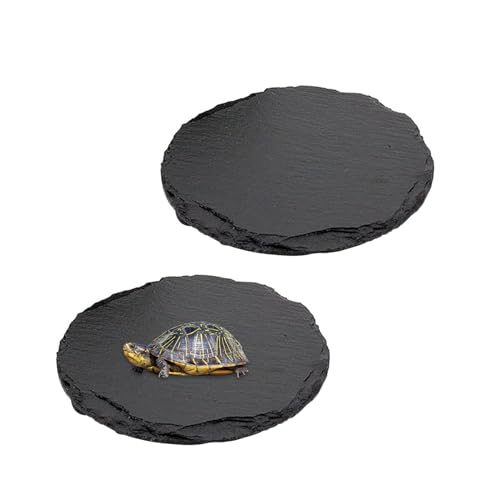 2 Stück Reptilien Plattform für Schildkröten Durchmesser15cm Sonnenplattform Futternapf Naturstein Ruheplattform für Schildkröte, Eidechse, Bartdrache, Gecko, Schlange 2 Stück Reptilien Plattform für Schildkröten Durchmesser15cm Sonnenplattform Futternapf Naturstein Ruheplattform für Schildkröte, Eidechse, Bartdrache, Gecko, Schlange von JINGHANGER