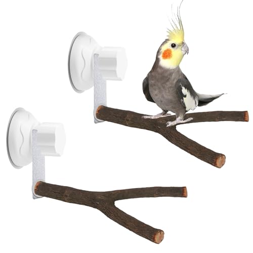 2er-Set Holz Vogelstange mit Saugnapf Y-Typ Vogelstangenständer Sitzstangen Vögel Ständer Spielzeug Vogelschleifklauen Klettern Stehend für Kakadu Ara Lovebirds Sittich 25 cm 2er-Set Holz Vogelstange mit Saugnapf Y-Typ Vogelstangenständer Sitzstangen Vögel Ständer Spielzeug Vogelschleifklauen Klettern Stehend für Kakadu Ara Lovebirds Sittich 25 cm von JINGHANGER