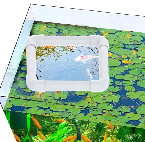 JINGHANGER 2 Stes Aquarium Schwimmende Pflanze Corral Abfangen von schwimmenden Pflanzen aus Filtern und Heizungen Schwimmende Wasserleitung Floating Plant Corral (Wird Nicht sinken) von JINGHANGER