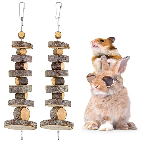 JINGLAN Kauspielzeug aus natürlichem Bio-Apfelholz, 2er-Pack, Kleintier-Snacks, Spielzeug, geeignet für Hasen, Chinchillas, Meerschweinchen und Hamster, Zähneknirschen von FJNATINH