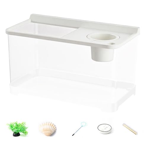 JINGLING Aquarium für Betta mit 3 bunten Lichtern – Aquarium, hohe Transparenz, 360 ° Transparenz, für Büro, Tisch, Schlafzimmer, Wohnzimmer, Eingangsbereich, Dekoration von JINGLING