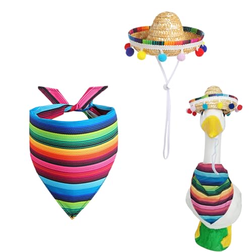 JINGLING Entenkleidung , Gartenente | Lustige Regenbogen Kleidung Idioten – Festliches Outdoor- , Terrassenoutfit für Garten, Hof, Rasen JINGLING Entenkleidung , Gartenente | Lustige Regenbogen Kleidung Idioten – Festliches Outdoor- , Terrassenoutfit für Garten, Hof, Rasen von JINGLING