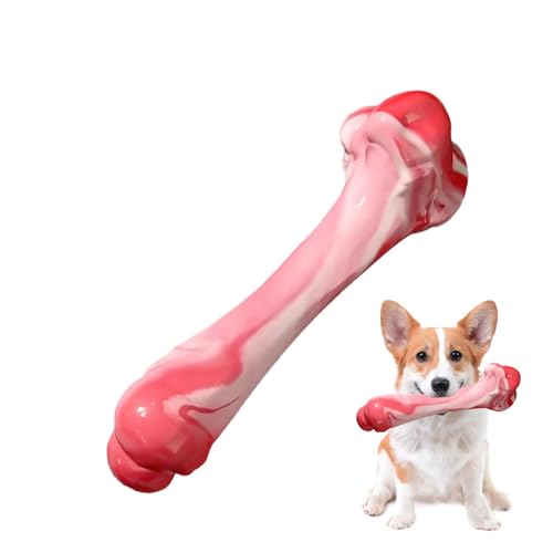 JINGLING Hundespielzeugknochen, Kauknochenspielzeug für Hunde | Zahnreinigungsspielzeug für Hunde - Backenzahn-Kauspielzeug für mittelgroße Hunde, unzerstörbares Hundespielzeug für Aggressive Kauer JINGLING Hundespielzeugknochen, Kauknochenspielzeug für Hunde | Zahnreinigungsspielzeug für Hunde - Backenzahn-Kauspielzeug für mittelgroße Hunde, unzerstörbares Hundespielzeug für Aggressive Kauer von JINGLING