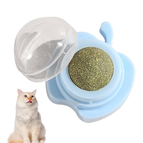 JINGLING Katzenminze-Wandball,Katzenminze-Ballhalterung,Zähneputzendes Katzenbissspielzeug | Katzen-Wanddekoration, Kätzchen Spielen, Kauen, Zähne putzen, Spielzeug, Katzenminze, Katzen-Leckereien, von JINGLING