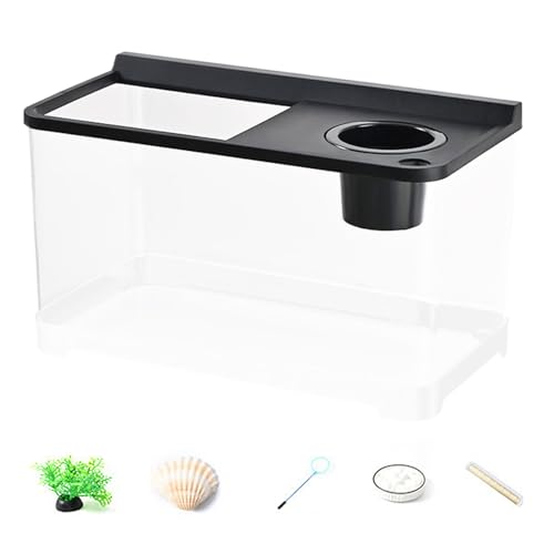 JINGLING Kleines Aquarium, Beleuchtung in 3 Farben, Aquarium, hohe Transparenz, 360 °, für Büro, Tisch, Schlafzimmer, Wohnzimmer, Eingangsbereich, Dekoration von JINGLING