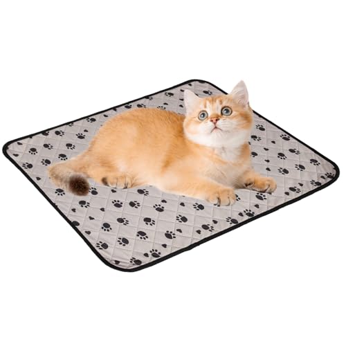 JINGLING Matratzenschoner für Hunde – Ultra-saugfähiges Matte, 71 x 51 cm, saugfähig, rutschfest, waschbar, wasserdicht, schnelltrocknend, für Transportbox, Welpen, Katzen, drinnen und draußen JINGLING Matratzenschoner für Hunde – Ultra-saugfähiges Matte, 71 x 51 cm, saugfähig, rutschfest, waschbar, wasserdicht, schnelltrocknend, für Transportbox, Welpen, Katzen, drinnen und draußen von JINGLING