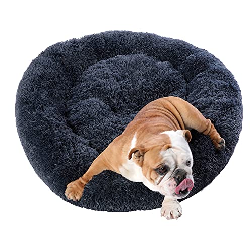 JINGSHUBO Hundebett Flauschiges Plüsch Katzenbett Plüsch Bettmatte Hundepad Hundekorb waschbar Haustier Bett Runde Bett JINGSHUBO Hundebett Flauschiges Plüsch Katzenbett Plüsch Bettmatte Hundepad Hundekorb waschbar Haustier Bett Runde Bett von JINGSHUBO