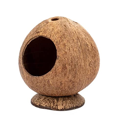JINGYAN Hundebetten Safe Guinea-Pig Nest Playing Toy Hamster House Scratch-Resistance Exercise Training Small Pet Coconut Cages Toy JINGYAN Hundebetten Safe Guinea-Pig Nest Playing Toy Hamster House Scratch-Resistance Exercise Training Small Pet Coconut Cages Toy von JINGYAN