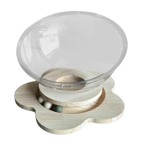 JINMUXUAN Katzenbett mit transparenter Kapsel, stabiles Katzenmöbel, Haustierbedarf, Kätzchennest, Haustiernest zum Faulenzen, Spielen, schlafende Kätzchen, XL, Schönheit kommt JINMUXUAN Katzenbett mit transparenter Kapsel, stabiles Katzenmöbel, Haustierbedarf, Kätzchennest, Haustiernest zum Faulenzen, Spielen, schlafende Kätzchen, XL, Schönheit kommt von JINMUXUAN