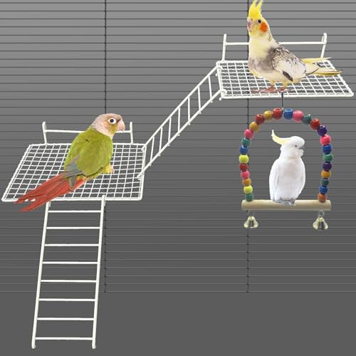 JINYOND 5-teiliges Vogelsitz-Set mit Schaukel aus Edelstahl und Leitern für Vogelkäfig JINYOND 5-teiliges Vogelsitz-Set mit Schaukel aus Edelstahl und Leitern für Vogelkäfig von JINYOND