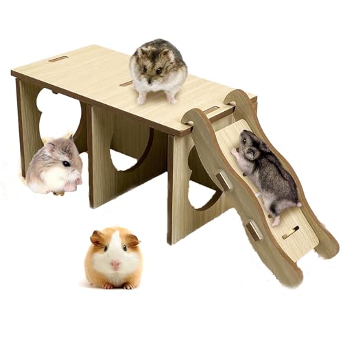JINYOND Naturholz Kleintierversteck mit Kletterleiter, Mehrkammertunnel und Grabkammern, sicheres Spielhaus für Hamster, Mäuse, Rennmäuse, Ratten und Zwergkaninchen von JINYOND