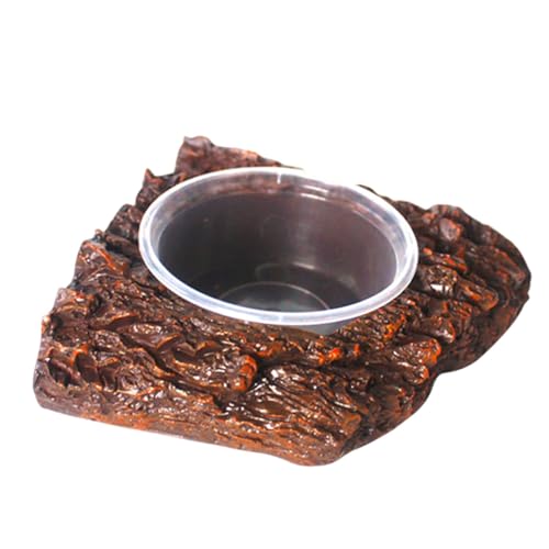 JISADER Amphibien Fütterung Feeder Dish Terrarium Dekor Frösche Lebensmittel Wasser Schüssel Wasser Dispenser für Schildkröte Chamäleon Spinnen, 1 Schüssel 11x10x3cm von JISADER