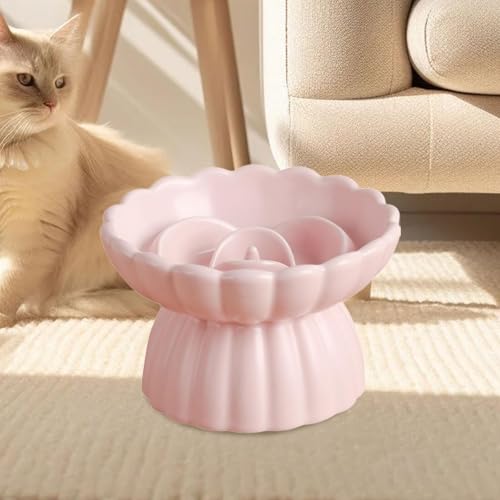 JISADER Angehobene Katzenschüssel Trinkschale Haustier Fütterungsschale mit höheren Kanten Lebensmittelbehälter für -Kaninchen Kleiner Haustier, Rosa von JISADER